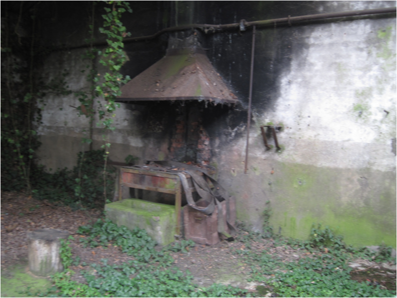 sa forge,