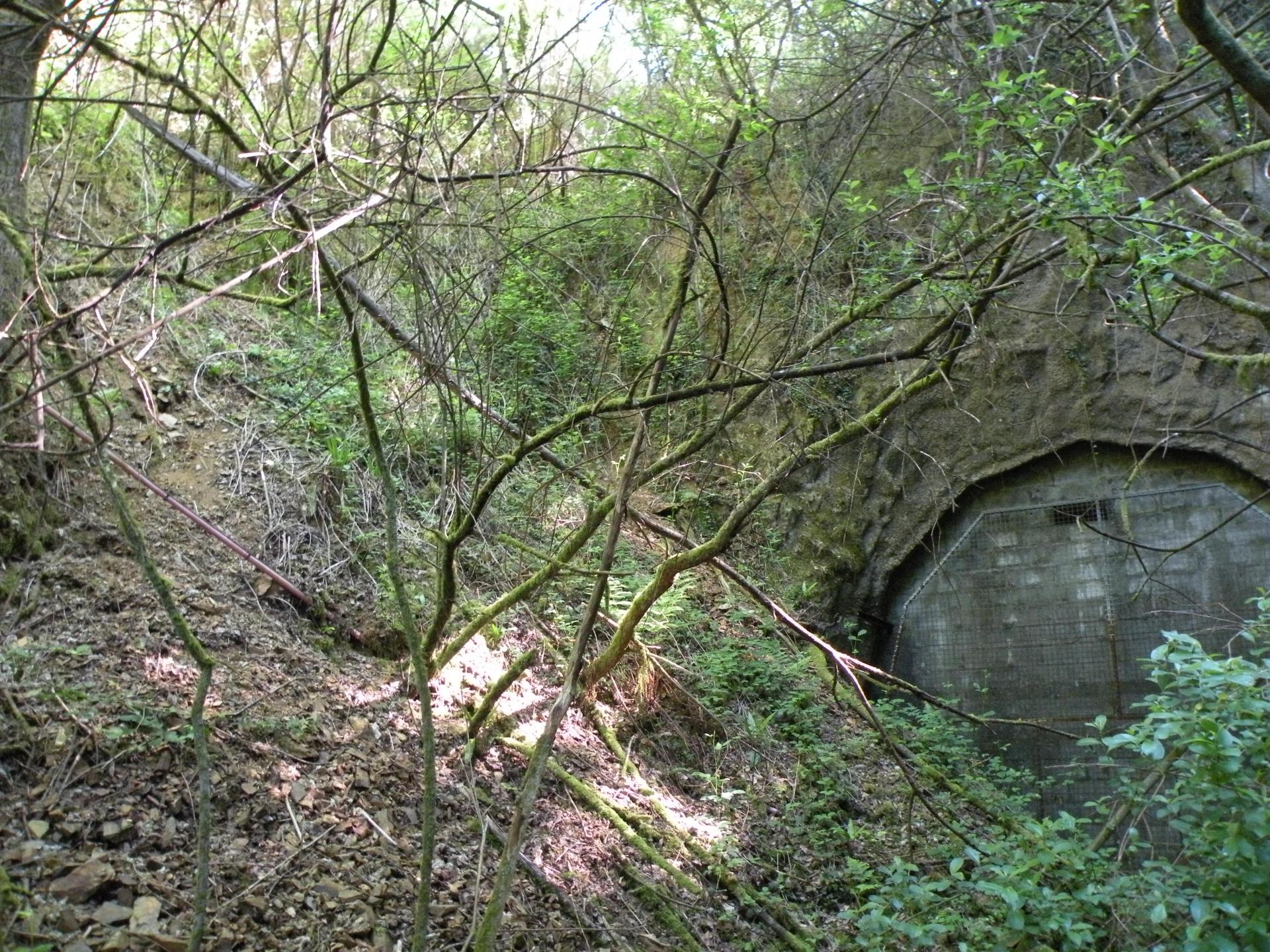 Abandonnée