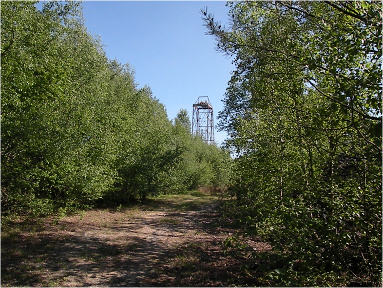 Depuis 1983 jusqu en 2006