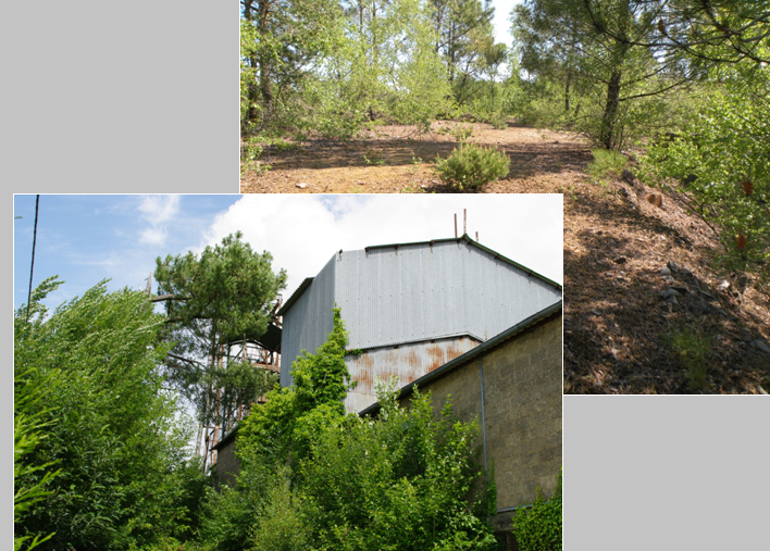la nature reprenait ses droits à Montbelleux