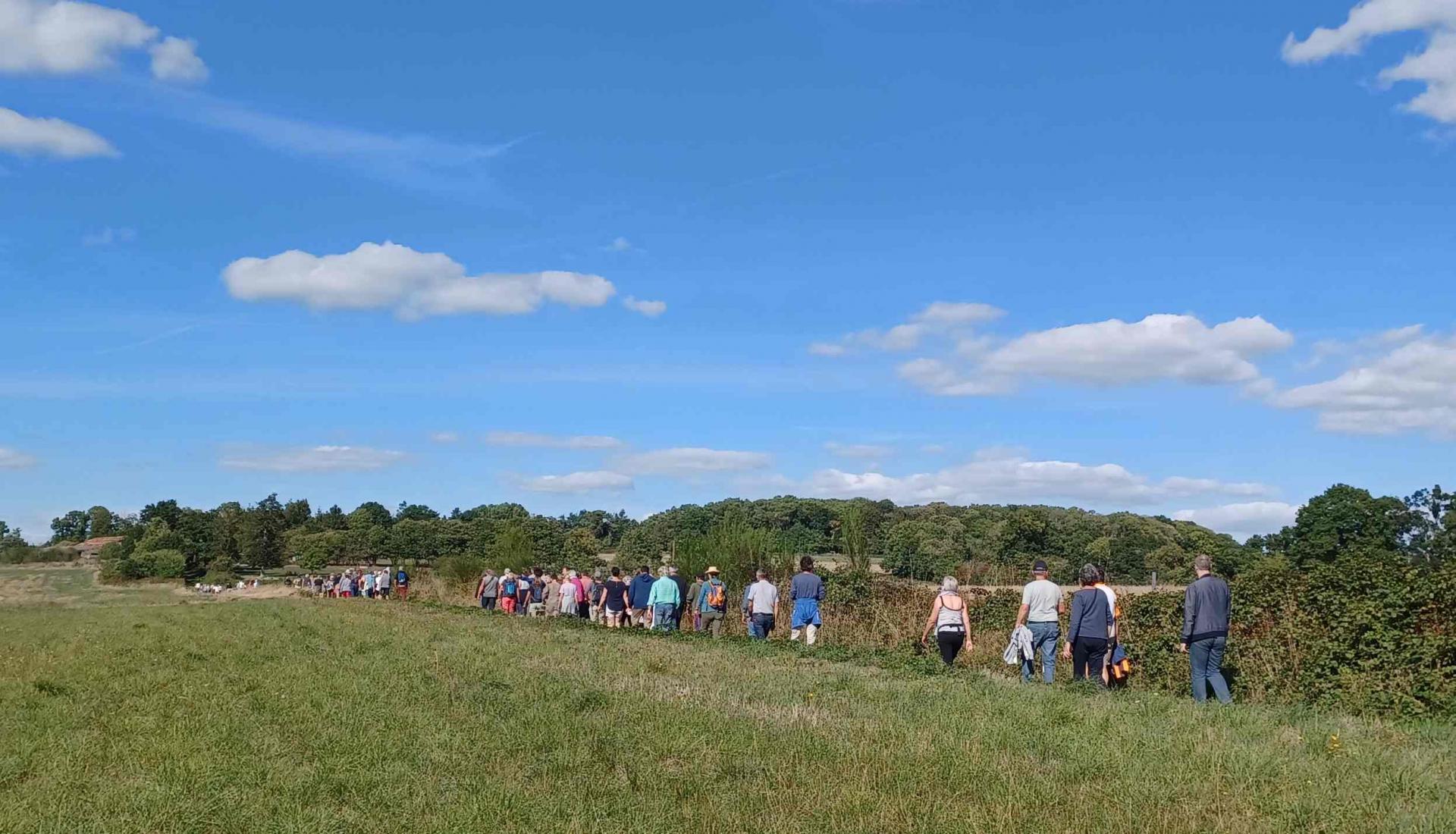 Marche pour le bois de montbelleux 1