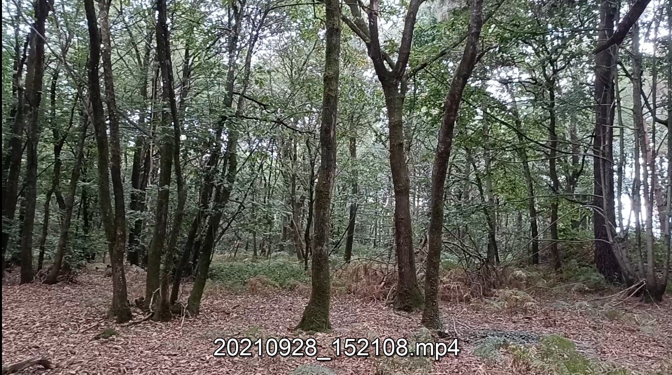 20210928 6