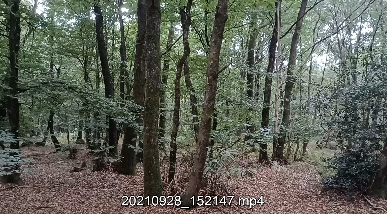 20210928 8