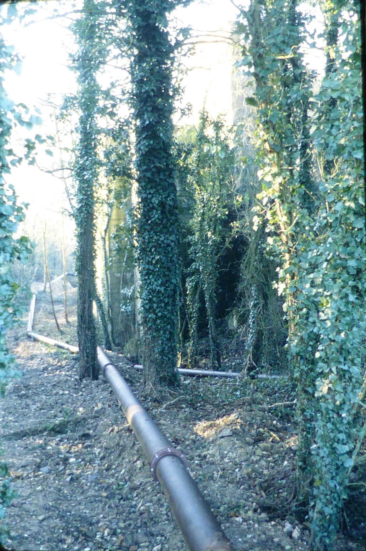 07 1977 a 09 1980 26