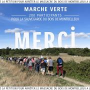 12 merci marche verte