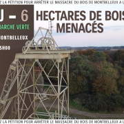 6 rappel marche verte