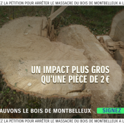 6 un impact plus gros que 2 mini