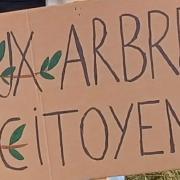 Aux arbres citoyens