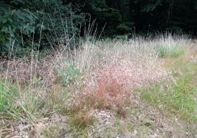 Ourlet bretagne vivante